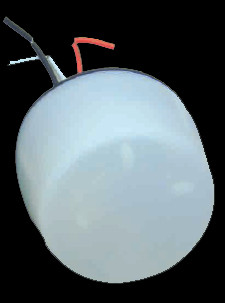 ${item.product_name}